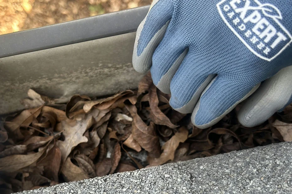 Gutter Cleaning Palmetto Bay FL