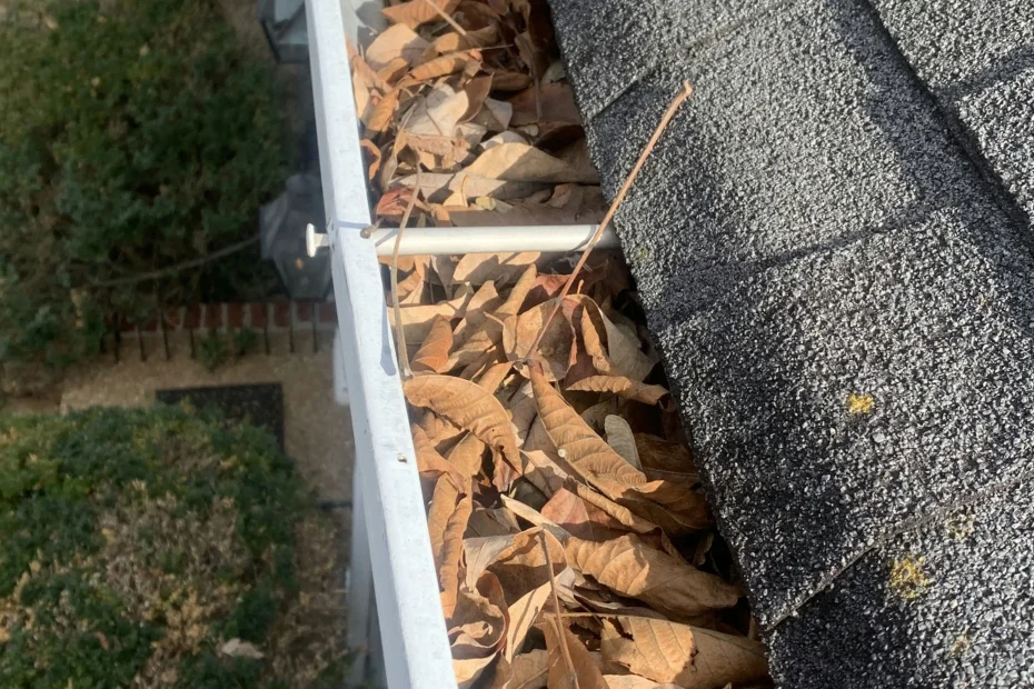 Gutter Cleaning Palmetto Bay FL