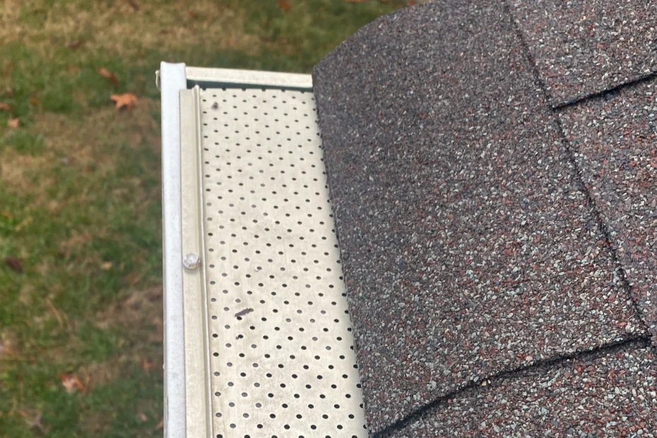 Gutter Cleaning Palmetto Bay FL