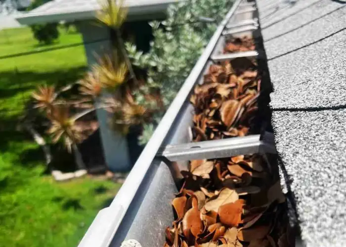 Gutter Cleaning Palmetto Bay FL home page